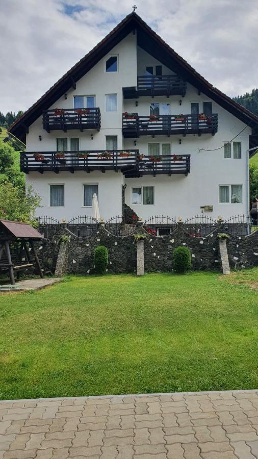 Pensiunea Paula Moeciu De Sus Buitenkant foto